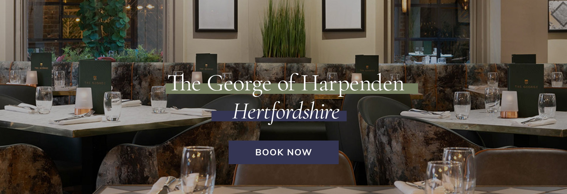 Come down to your local pub at The George of Harpenden in Harpenden